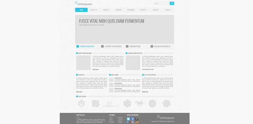 網(wǎng)站設(shè)計(jì)的重要性超越網(wǎng)站開發(fā)