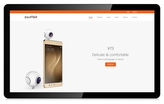 精品網(wǎng)站設(shè)計，品牌形象塑造首選科慧設(shè)計